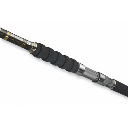 SPINNING ROD MIVARDI XTREME CATFISH