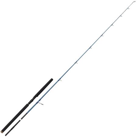 Spinning Rod Savage Gear Sgs2 Offshore Plug