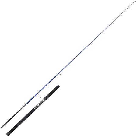 Spinning Rod Savage Gear Sgs6 Offshore Plug