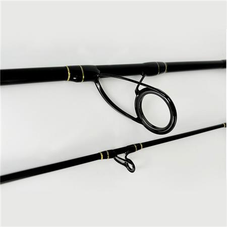 SPINNING ROD SPRO BIG LURE SPIN