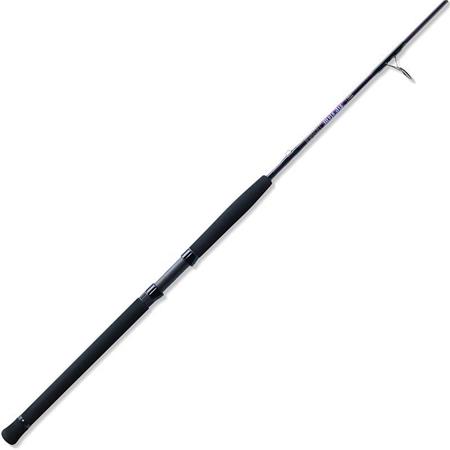Spinning Rod St Croix Mojo Jig