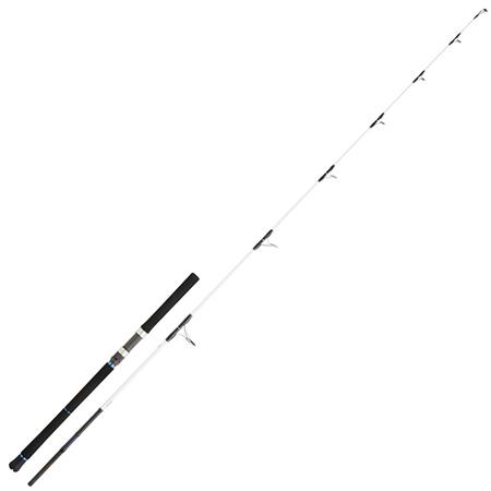 Spinningstang Daiwa Saltist