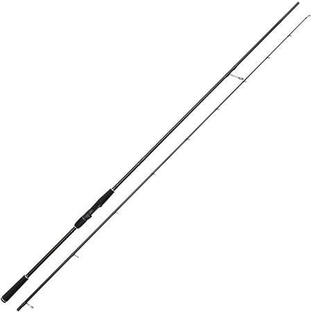 Spinningstang Westin W2 Sbass