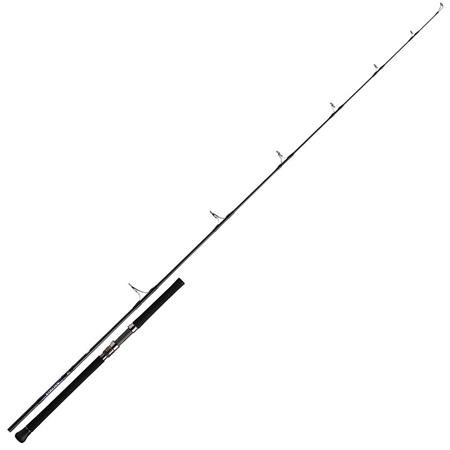 Spinnrute Daiwa Saltiga Casting