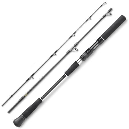 Spinnrute Hearty Rise Skywalker Norway Jigging Spin