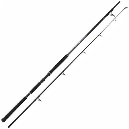 Spinnspö Shimano Beastmaster Ax Catfish Static