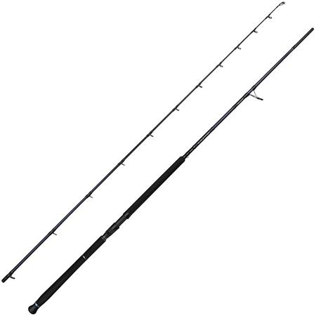 Stang Savage Gear Defiance Sg2 Shore Jigging