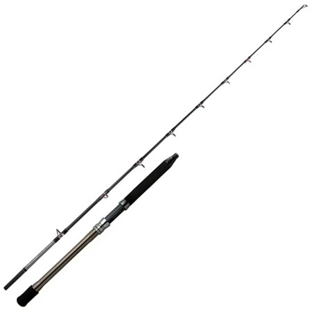 Stang Shimano Speedmaster Ax Boat Deep Drop