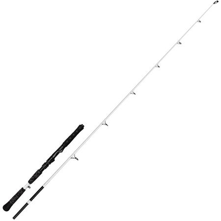 Stang Til Malle Madcat White Belly Cat