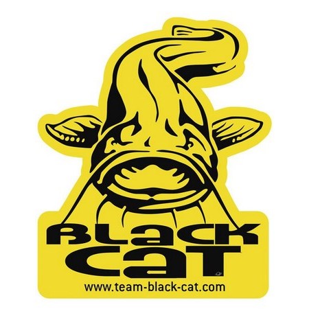 Sticker Black Cat Catfish