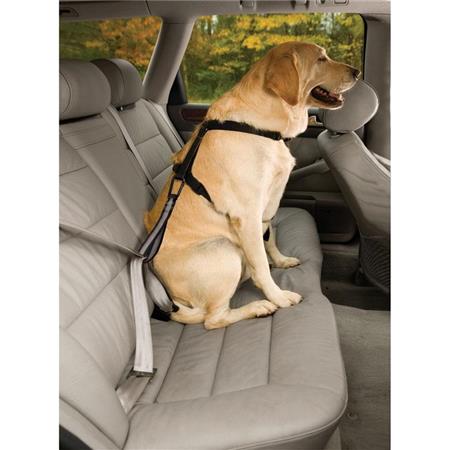 Strap Of Protection Kurgo Seatbelt