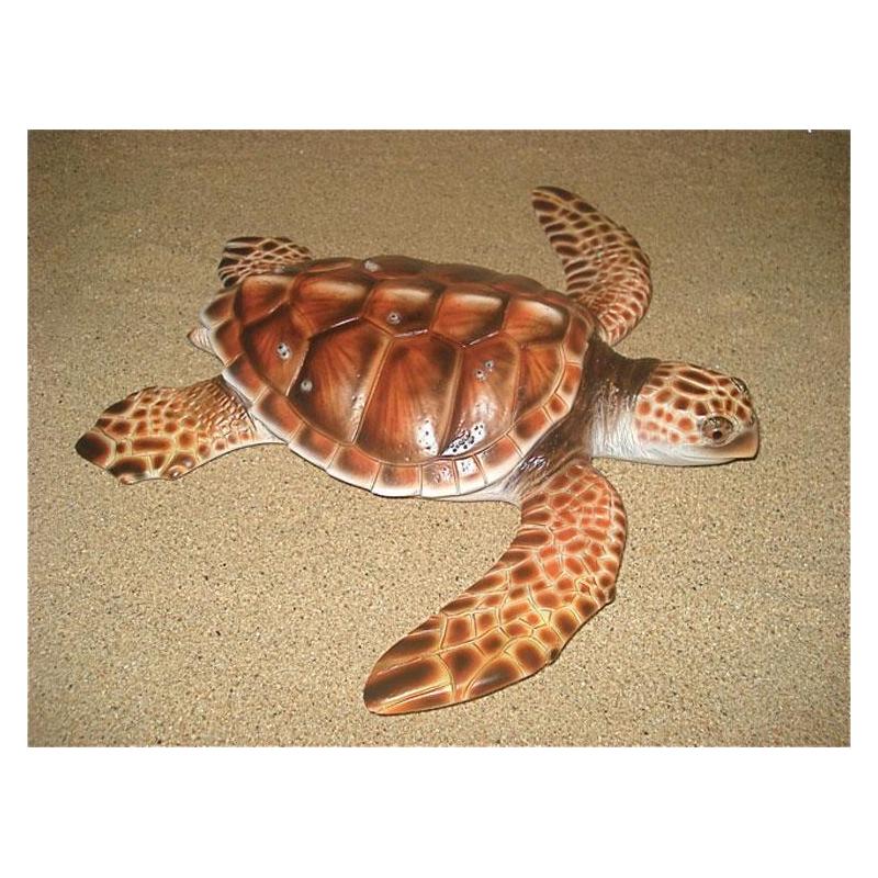 Structure Semi Hull Relief Cap Vert Tortue Caouanne