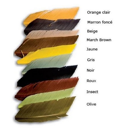 Substytut Condora Jmc