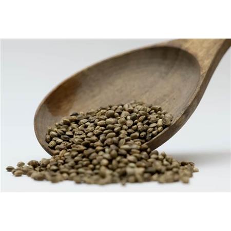 Suche Nasiona Nasiona Konopi - 5Kg