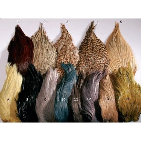 Szyja Koguta Indyjskiego Jmc