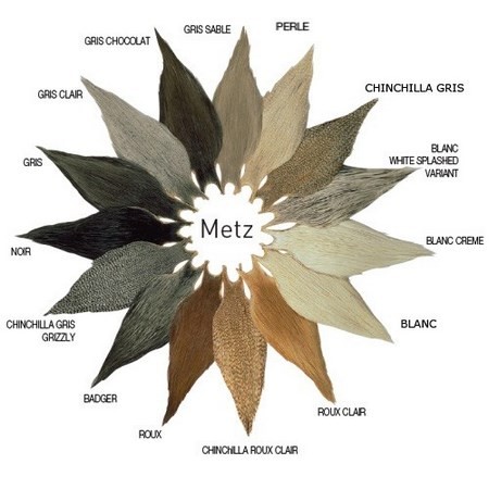 Szyja Koguta Metz Grade 2