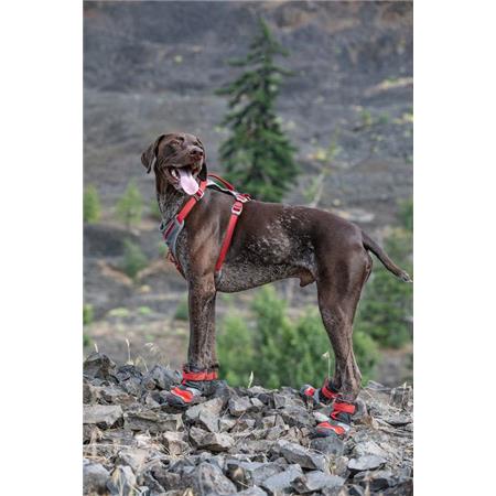 TECHNISCHE SCHOENEN KURGO POUR CHIEN BLAZE CROSS