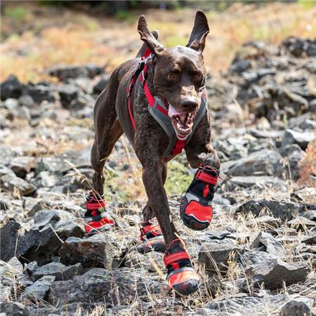 TECHNISCHE SCHOENEN KURGO POUR CHIEN BLAZE CROSS