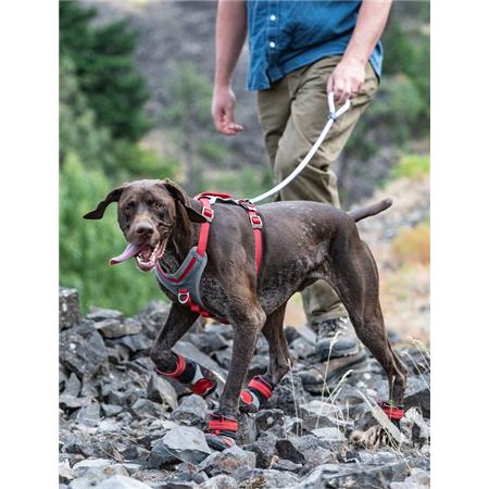 TECHNISCHE SCHOENEN KURGO POUR CHIEN BLAZE CROSS