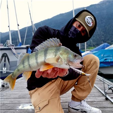 ΤΕΧΝΗΤΌ ΔΌΛΩΜΑ SUSPENDING STUCKI FISHING FANATICS LUDIC DRIVE - 6.5ΕΚ