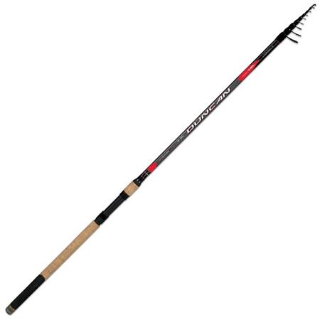 Telescopic English Pole Colmic Duncan