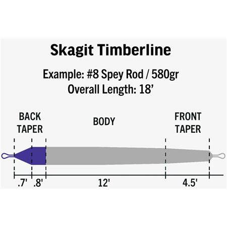 TÊTE DE LANCER RIO SKAGIT AMBASSADOR SERIES GRAY STRUZNIK