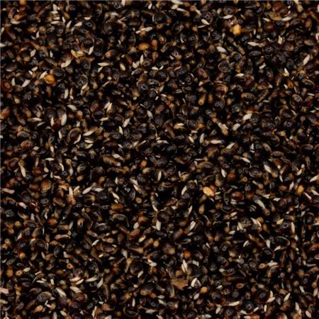 TILBEREDTE FRØ POSEIDON PARTICLES HAMPEFRØ