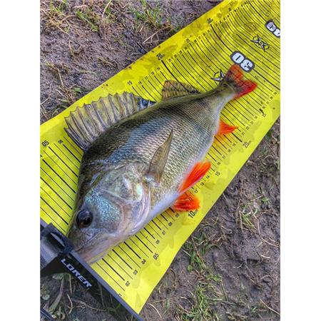 TOISE - ZWART FISHXPLORER STREETFISHER X SCALE