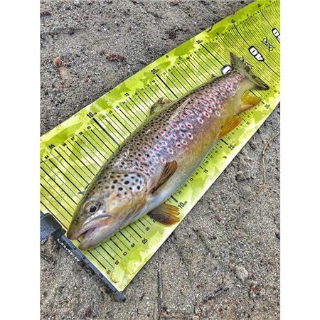 TOISE - ZWART FISHXPLORER STREETFISHER X SCALE