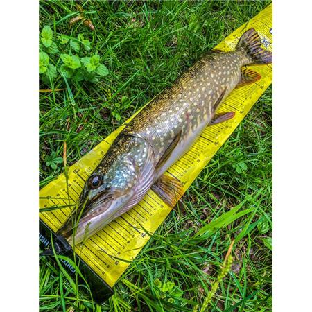 TOISE - ZWART FISHXPLORER STREETFISHER X SCALE