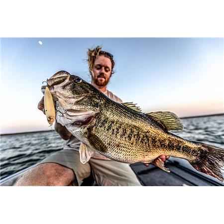 TOPWATER-AGN 6TH SENSE CATWALK - 11.6CM
