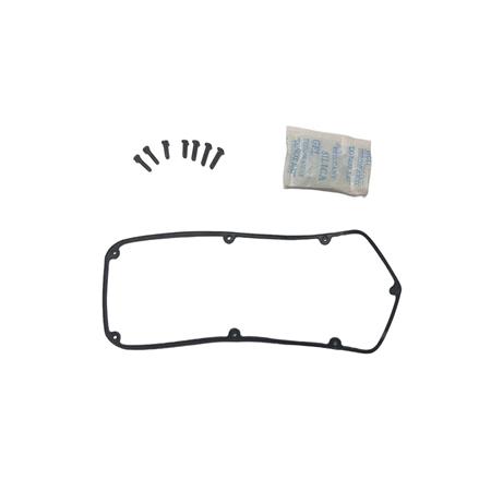 Tornillo Gps + Junta Rog Master
