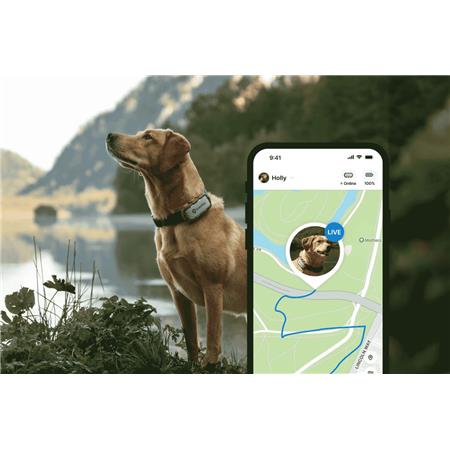 TRACKING COLLAR TRACTIVE DOG XL EDITION AVENTURE