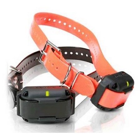 Training Collar 2 Dogs Dogtra 1212 Ncp / 3500Ncp