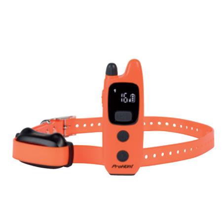 TRAINING COLLAR LIGNE VERNEY-CARRON