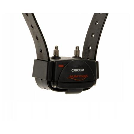 TRAINING COLLAR NUMAXES CANICOM 250 LE