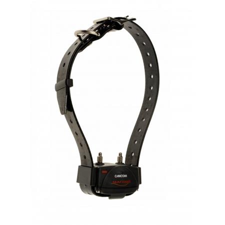 TRAINING COLLAR NUMAXES CANICOM 250 LE