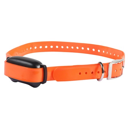 TRAINING COLLAR PROHUNT