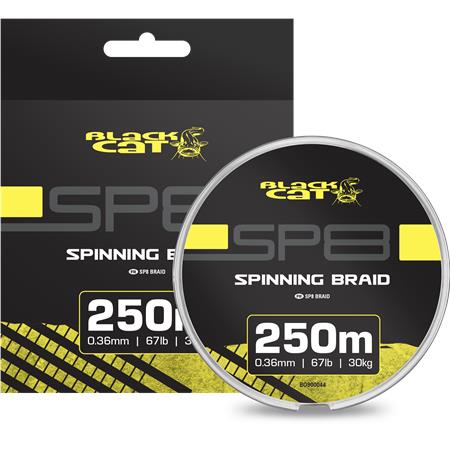 TRECCIA BLACK CAT SP8-BRAID - 250M