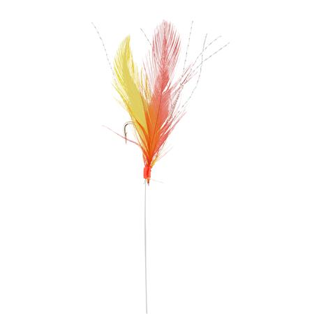 Treino De Penas Srt Plumes Rouges Et Jaunes