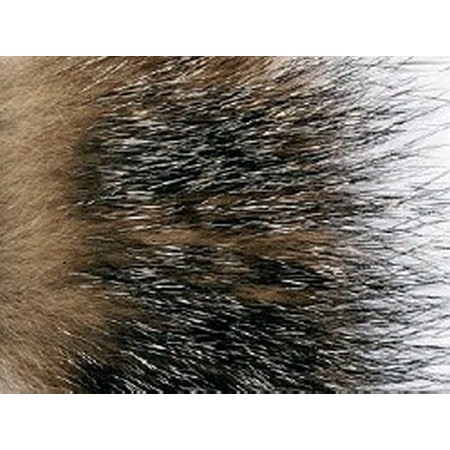 Τρίχεσ Αλεπούσ Chinchilla Jmc