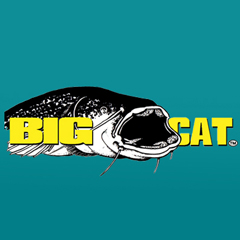 Big Cat