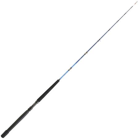 Trollingstang Daiwa Tanacom Boat