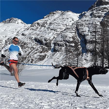 TUIGJE I-DOG CANICROSS X-BACK GAMME ONE - ORANGE