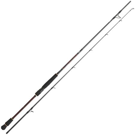 Undită Spinning Daiwa Infeet Seabass