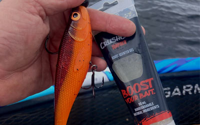 Attractant carnassier