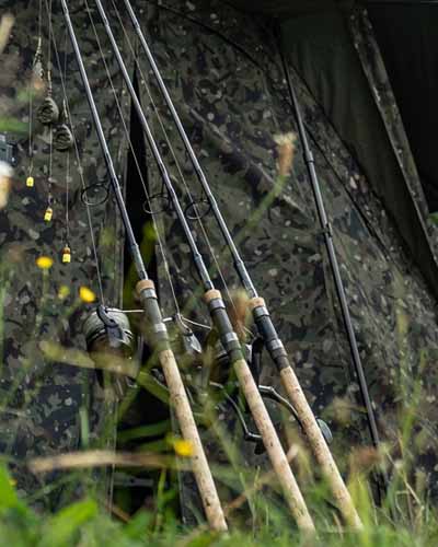 Rods carp