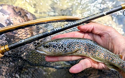 Toc rods, natural bait