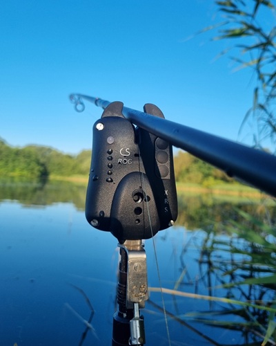 Beetmelders voor meerval