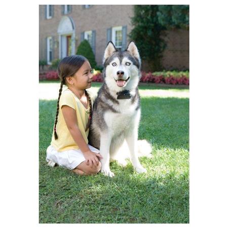 VALLA ANTIFUGA PETSAFE SUPER RADIO FENCE